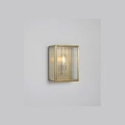 Birch Wall Light gallery detail image