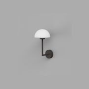 Dome Long Arm Wall Light gallery detail image