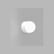Orb Sur Wall Light gallery detail image