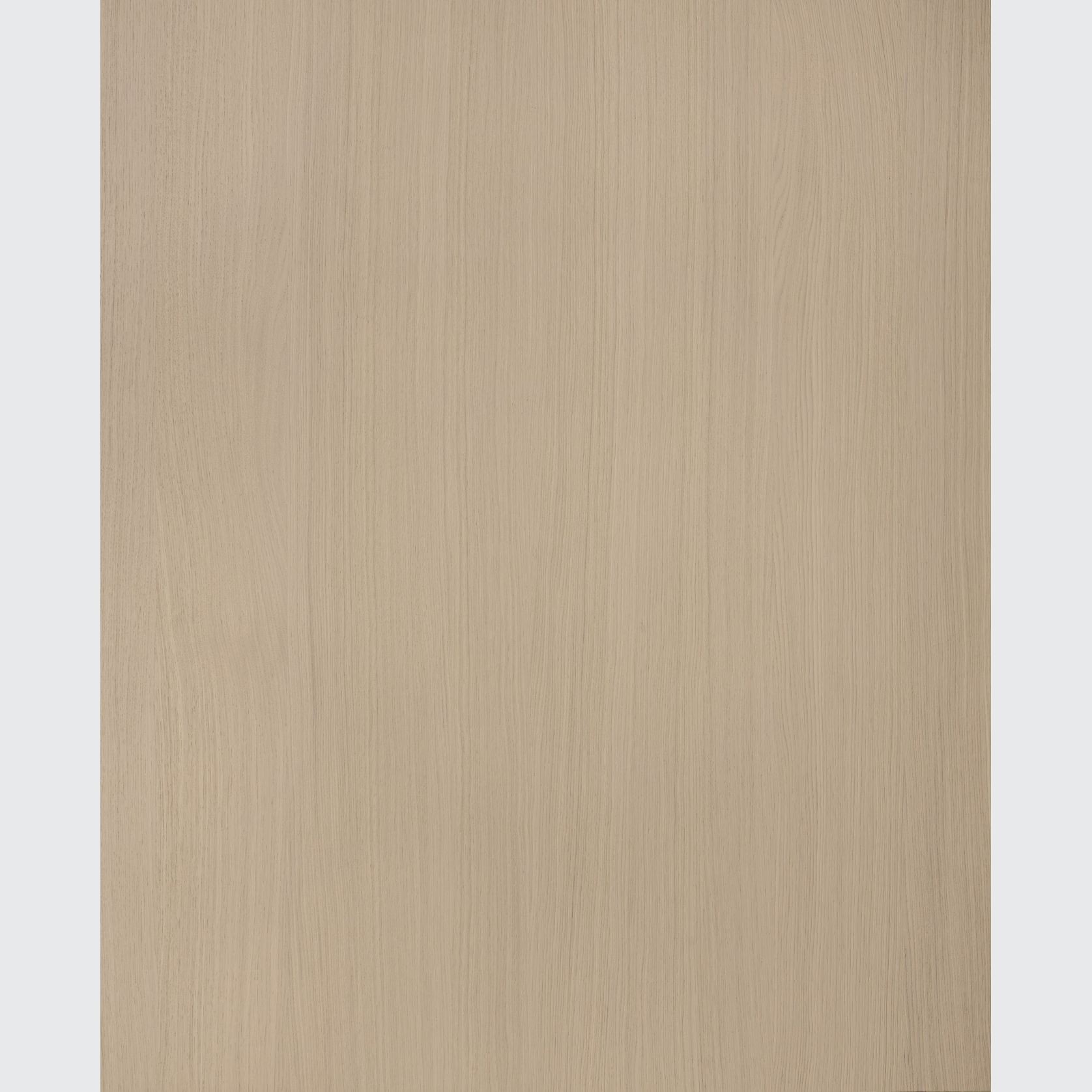 Alor Cove Oak 1F1B 3050mm Veneer Panel gallery detail image