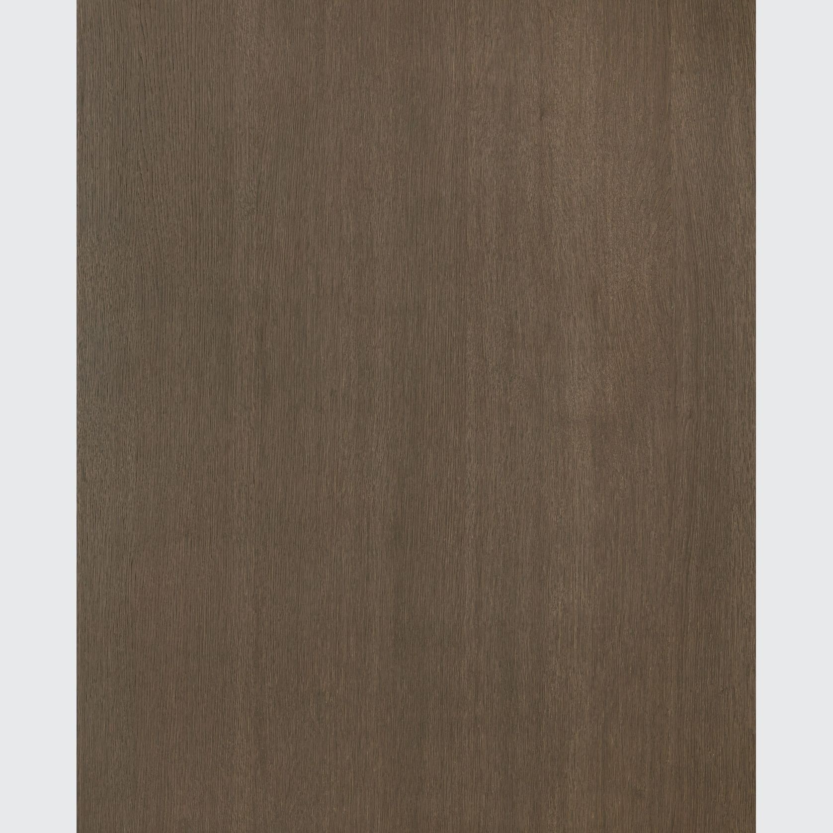 Alor Ochre Oak 1F1B 3050mm Veneer Panel gallery detail image