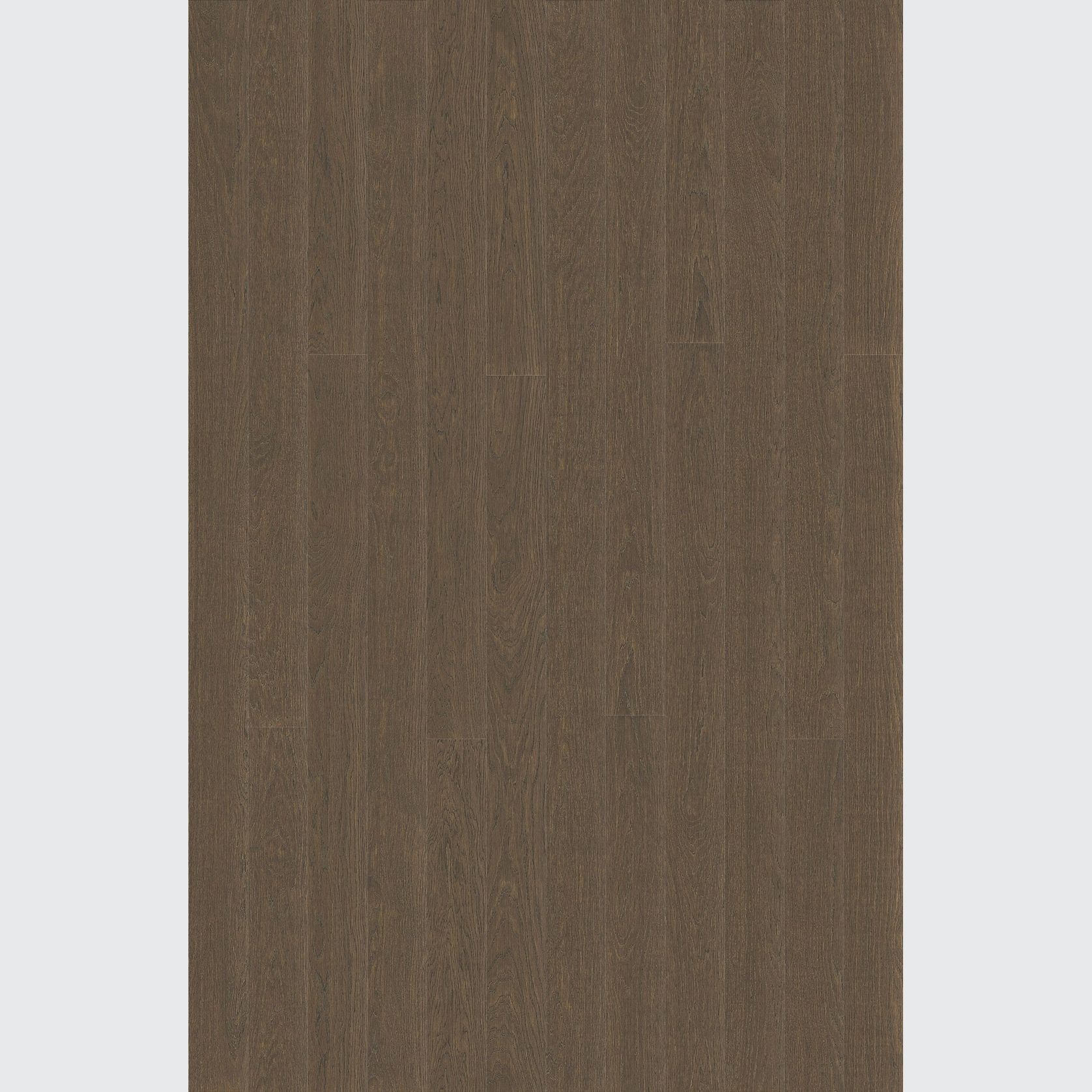 Alor Ochre Oak Walls & Ceiling Panelling gallery detail image