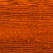 Elm Dryden WoodOil gallery detail image