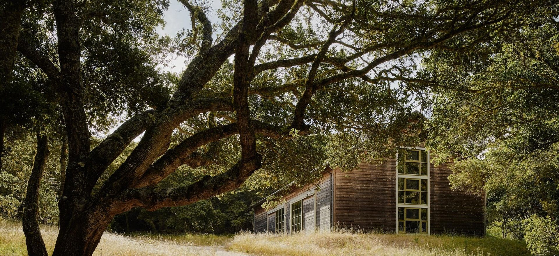 An Architect Fluent in Place