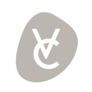 Vue Concepts company logo