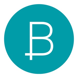 Bones Studio company logo