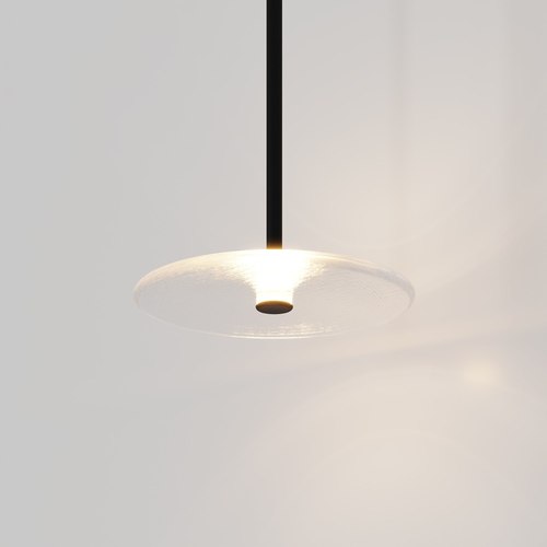 Matte Black Coral Single Pendant - Clear Glass
