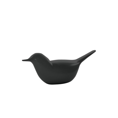 Black Paloma