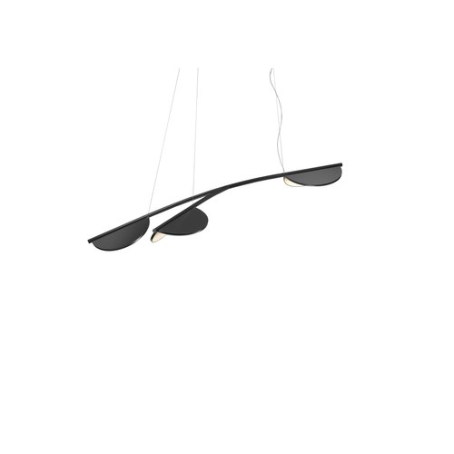 Anthracite Almendra Organic