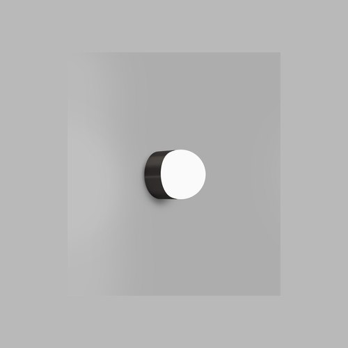 Iron Orb Sur Mini Wall Light